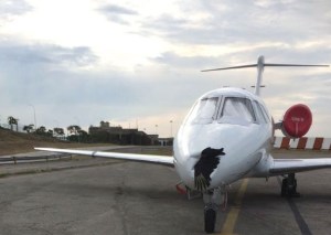 Un ave se estrelló y abolló una avioneta en el Aeropuerto de Maiquetía (FOTOS)