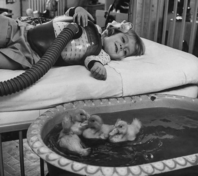 Animales utilizados como parte de una terapia médica, 1956.
