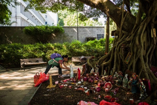 In this picture taken on September 12, 2016, Yoyo Ng, 54, stands in front of a tree as she leaves a Guan Yin statue (C), one she kept for more than 30 years, saying she had to remove it from her home to make room for new tenants, in a leafy park with other unwanted statues of deities, in the northern district of Fanling in Hong Kong. Religion and local customs permeate Hong Kong, where Buddhist and Taoist temples are common and incense offerings are regularly burned outside local businesses. Private homes often have a shrine to a local deity, with Christian churches and mosques also in the mix. But with space at a premium in a city were rents are sky high, informal collections of discarded gods often decorate roadsides and public spaces. / AFP PHOTO / Anthony WALLACE / To go with "HONG KONG-CULTURE-LIFESTYLE-RELIGION", FEATURE by Dennis Chong