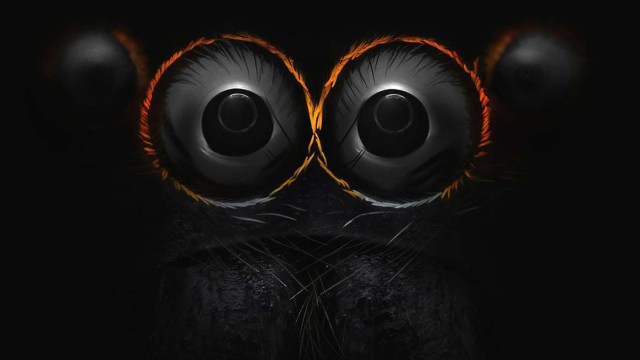Ojos de una araña saltarina, Adansoni Hasarius (9x). Yousef Al Habshi, Emiratos Árabes