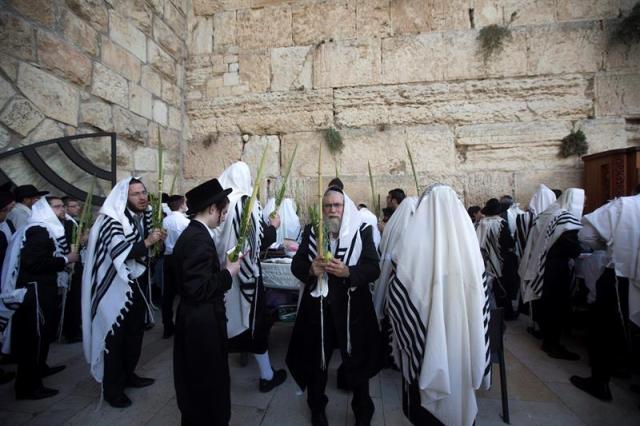 Miles de judíos ultraortodoxos rezan en el Muro de las Lamentaciones en Jerusalén, Israel, durante una de las celebraciones de la fiesta judía del "Sucot" (foto EFE / Abir Sultan)