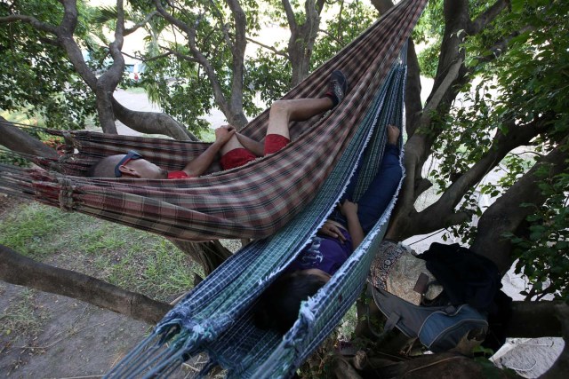 ACOMPAÑA CRÓNICA: BRASIL VENEZUELA BRA07. BOA VISTA (BRASIL), 22/10/2016.- Los venezolanos José Antonio Garrido (i) y Sairelis Ríos (d) duermen en sus hamacas este jueves, 20 de octubre de 2016, frente a la terminal de autobuses de Boa Vista, estado de Roraima (Brasil). Es venezolana, tiene 20 años, quiere ser traductora y hoy, en una hamaca colgada en un árbol que ha convertido en su casa en la ciudad brasileña de Boa Vista, mece unos sueños que, según aseguró, no serán truncados por "el fracaso de una revolución". "No estoy aquí por política. Lo que me trajo aquí fue el fracaso de unas políticas", dijo a Efe Sairelis Ríos, quien junto a su madre Keila y una decena de venezolanos vive en plena calle, frente a la terminal de autobuses de Boa Vista, una ciudad que en los últimos meses ha recibido unos 2.500 emigrantes de ese país vecino. EFE/Marcelo Sayão