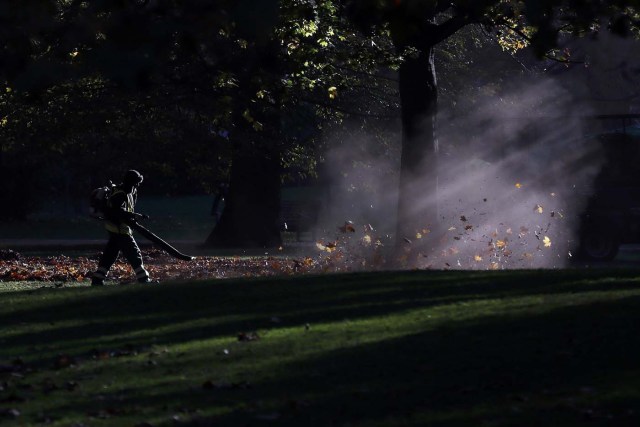 A worker blows leaves off the grass on an autumn day in St James's Park in central London, Britain November 2, 2016. REUTERS/Stefan Wermuth