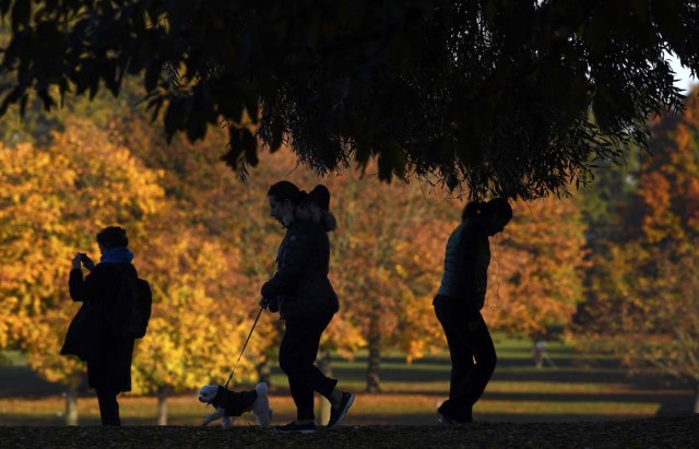 Walkers pass near autumn foliage early morning in Hyde Park in London in Britain, November 2, 2016. REUTERS/Toby Melville TPX IMAGES OF THE DAY
