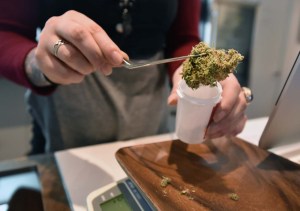 Canadá se prepara para legalizar el cannabis