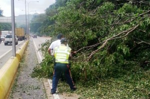Lluvia en la Valencia-Puerto Cabello altura Trincheras deja árboles caídos y derrumbes
