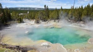 Hombre cayó en aguas termales del parque Yellowstone y su cuerpo se disolvió
