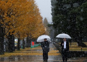 Cae nieve en Tokio en noviembre, lo nunca visto en 54 años (fotos)