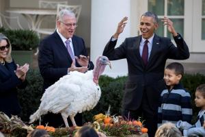 Obama indultó a su último pavo por Acción de Gracias (Fotos)