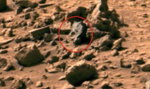 ¿WTF? … Encuentran la cabeza de un dinosaurio en Marte