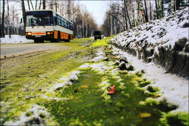 Ahora en Rusia la nieve es de color verde (FOTOS)