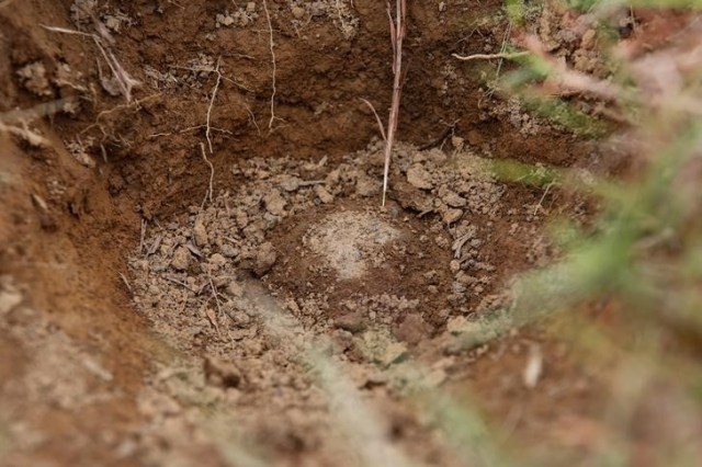 Imagen de archivo de una fosa en la provincia de Laos, Vietnam. 2 de septiembre 2016. Los cadáveres de seis personas no identificadas fueron encontrados en fosa clandestina en una zona rural a unos 20 kilómetros al este de la capital de Panamá, informaron el jueves autoridades locales.REUTERS/Jorge Silva