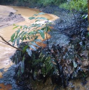 El desprecio de la Pdvsa roja-rojita por el medio ambiente