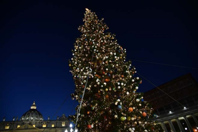 The Christmas tree is pictured at the Saint Peter's square following its illumination on December 9, 2016 in Vatican. This year, the Christmas ornaments were made by children of the paediatric oncology departments of Italian hospitals. / AFP PHOTO / VINCENZO PINTO