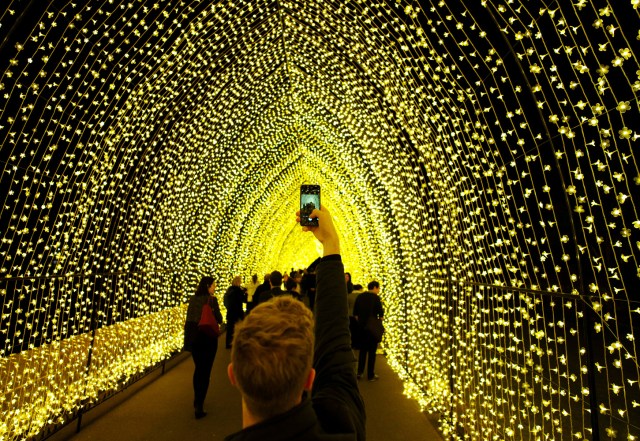 FILE PHOTO - A visitor to the Sydney Botanical Garden's inaugural contribution to the Vivid Sydney light festival takes a picture of the 'Cathedral of Light' during a preview of the annual interactive light installation and projection event around Sydney, Australia May 25, 2016. REUTERS/Jason Reed/File Photo REUTERS PICTURES OF THE YEAR 2016 - SEARCH 'POY 2016' TO FIND ALL IMAGES
