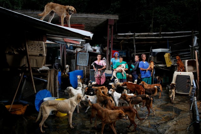 FILE PHOTO - (L-R) Maria Silva, Milena Cortes, Maria Arteaga, Jackeline Bastidas and Gissy Abello pose for a picture at the Famproa dogs shelter where they work, in Los Teques, Venezuela, August 25, 2016. REUTERS/Carlos Garcia Rawlins/File Photo REUTERS PICTURES OF THE YEAR 2016 - SEARCH 'POY 2016' TO FIND ALL IMAGES