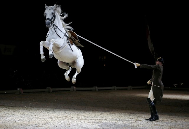 FILE PHOTO - Riders and their horses of the Spanish Riding School of Vienna perform a dress rehearsal for the media at the SSE Arena in London, Britain November 10, 2016. REUTERS/Peter Nicholls/File Photo REUTERS PICTURES OF THE YEAR 2016 - SEARCH 'POY 2016' TO FIND ALL IMAGES