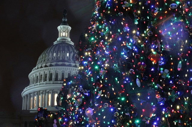 WASHINGTON, DC - DECEMBER 06: U.S. Capitol Christmas Tree stands at the West Front Lawn of the Capitol during its lighting ceremony December 6, 2016 in Washington, DC. This year's tree is an 80 foot Engelmann Spruce from the Payette National Forest in Idaho. Alex Wong/Getty Images/AFP