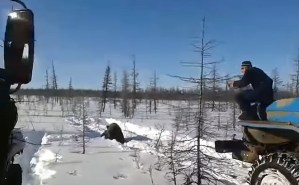 ¡Desalmado nivel WTF! Aplastó salvajemente a un oso hasta la muerte y luego compartió las imágenes (Video)