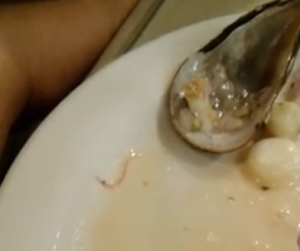 ¡Asco! Encontró un gusano nadando en su plato de ceviche (Video)