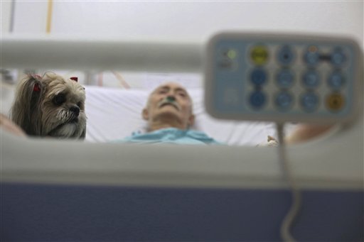 En imagen del 17 de noviembre de 2016, Antonio Araujo, un paciente geriátrico de 67 años, recibe la visita de un perro Shitzu llamado Mille mientras descansa en su cama en el Hospital de Apoyo de Brasilia, Brasil. (AP Foto/Eraldo Peres)