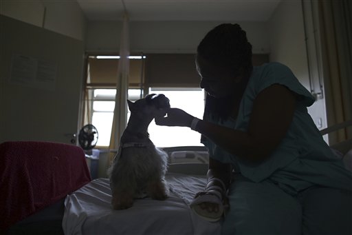 En imagen del 17 de noviembre de 2016, Elizangela Santos, una paciente de cáncer de 35 años, acaricia a una perra Schnauzer llamada Paola en su cama en el Hospital de Apoyo en Brasilia, Brasil. (AP Foto/Eraldo Peres)