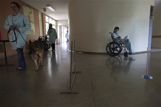 En fotografía del 17 de noviembre de 2016, Priscila Cremer pasea a un pastor alemán llamado Pacato en su visita a otra paciente mientras realiza sus rondas como parte de un programa de terapia canina en el Hospital de Apoyo de Brasilia, Brasil. (AP Foto/Eraldo Peres)