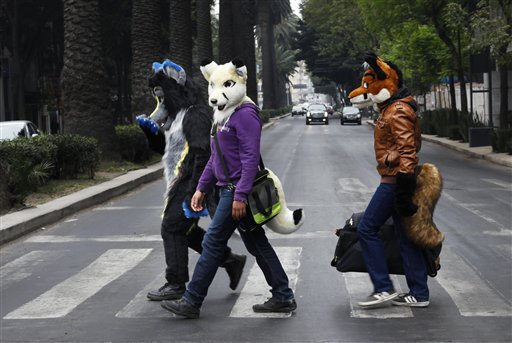 En esta fotografía del domingo 8 de enero de 2017, personas con disfraces de lobo cruzan una avenida en la Ciudad de México. Dijeron que se dirigían a un acto en el que se obsequiarían balones a niños. (AP Foto/Marco Ugarte))