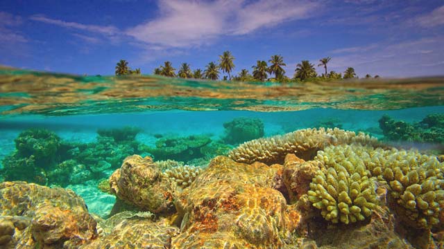 El Atolón Gaafu Dhaalu en las Islas Maldivas: este recóndito y paradisíaco atolón ofrece una experiencia única de reposo sobre aguas transparentes y con servicio de habitaciones.