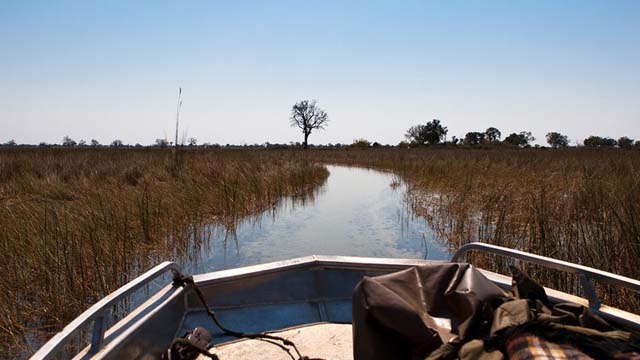 El delta del Okavango, Botsuana: esta región de 15.000 kilómetros cuadrados es una de las grandes reservas naturales protegidas de África y la atracción estrella del famoso ecoturismo de Botsuana.