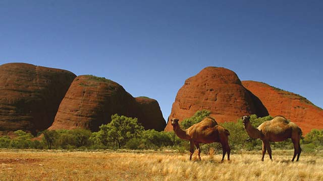 Uluru (Ayers Rock) en Australia: este santuario indígena es uno de los destinos más reconocidos del país. La enorme formación rocosa cambia de color según la inclinación de los rayos solares.