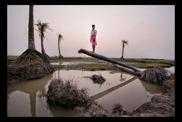 Ghoramara Esta isla ubicada en la India, está siendo tragada por el mar. La constante entrada y salida del agua al territorio ocasionan que las raíces de sus palmeras queden expuestas y caigan.
