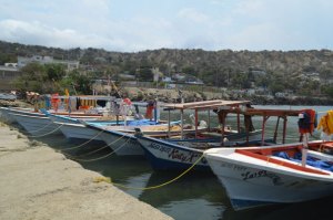 En Vargas, pescadores hallan el cuerpo de bañista desaparecido desde jueves #7Dic