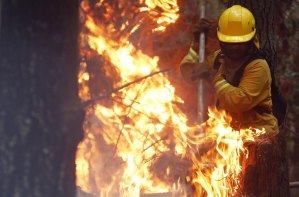 Al menos 34 personas procesadas por ocasionar incendios forestales en Chile