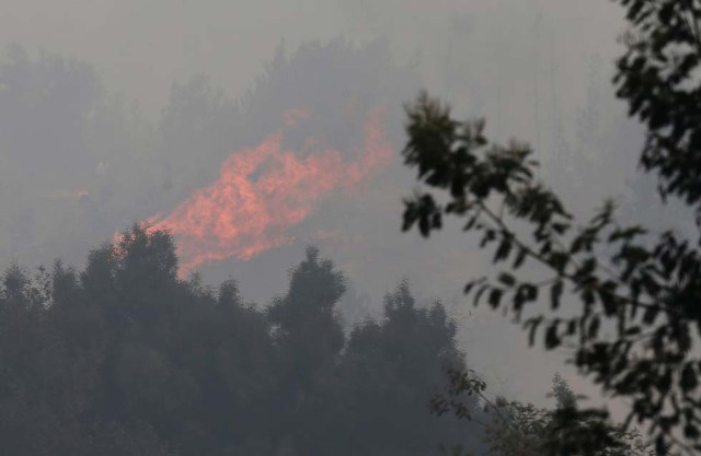A forest fire on a hill is seen as wildfires ravage wide swaths of the country's central-south regions, in the town of Hualqui