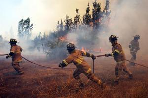 Encapuchados incendiaron maquinaria forestal en Chile