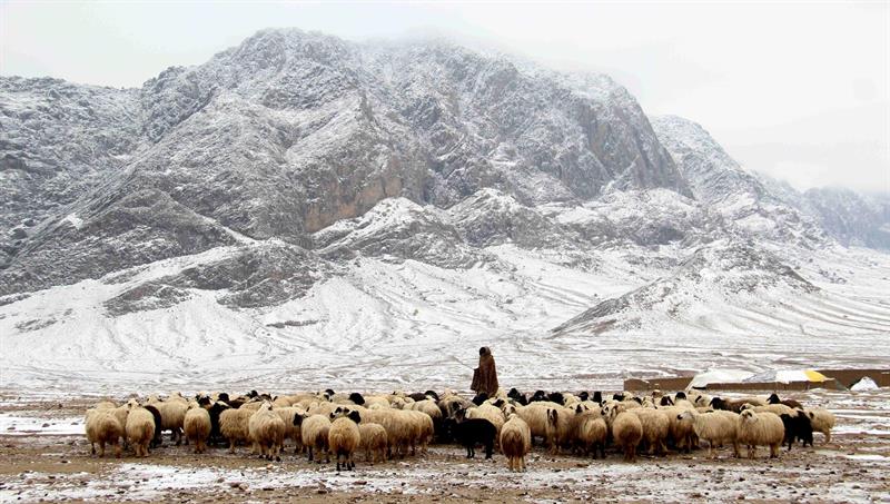 Aumentan a 108 los muertos por el temporal de nieve en Afganistán