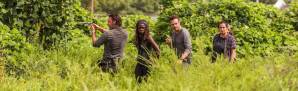 Lo nuevo de “The Walking Dead” llega este domingo a FOX Premium
