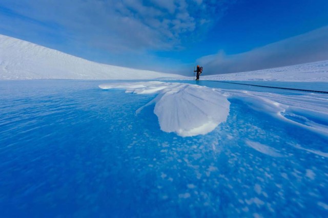 Hielo y frío, la constante en la naturaleza que le ofrecía la Antártida a Krzysztofowicz