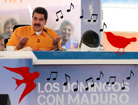 Maduro pajarito