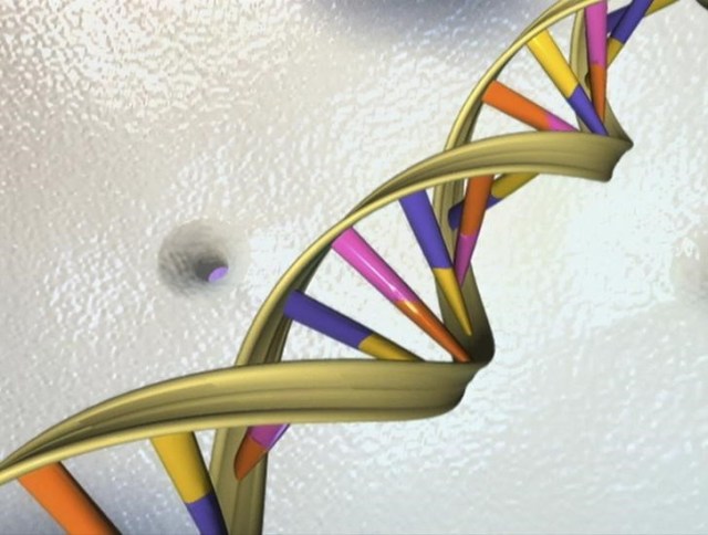Una foto de archivo de una doble hélice de ADN en una ilustración artística sin fecha suministrada por el Instituto Nacional de Investigación del Genoma Humano a Reuters el 15 de mayo de 2012.   REUTERS/National Human Genome Research Institute/Handout/Files