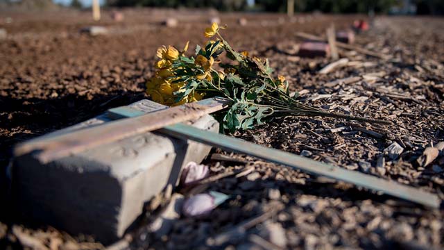 Flores en el cementerio de los inmigrantes sin identificar en la frontera en el estado de California (EE.UU.).