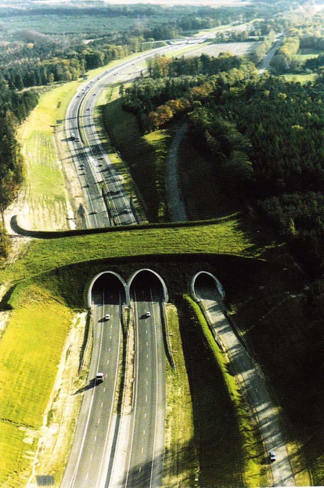 10. Ecoducto en Holanda