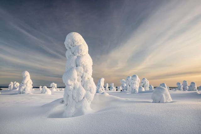 Parque nacional de Riisitunturi, Posio, Finlandia El hermoso parque nacional, que tiene un área de 77 kilómetros cuadrados, se convierte en un magnífico espectáculo en cada infierno, ya que los árboles quedan cubiertos de nieve y toman la forma de altos minaretes blancos.