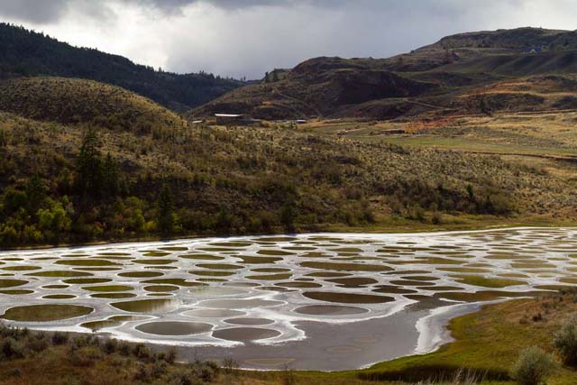 Spotted Lake, Columbia Británica, Canadá El lago tiene las marcas de sus coloridos depósitos minerales, que lucen como manchas en el agua, cuando se evaporan en verano. Los distintos minerales, entre ellos sulfato de magnesio, se cristalizan y dan color al agua.
