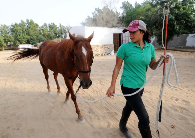 Saudi Dana al-Gosaibi walks a horse during a training session on March 1, 2017, in the Red Sea city of Jeddah. The 35-year-old Saudi horse trainer dreams of opening her own stables to focus on "a more gentle" way of training horses than the standard approach in the male-dominated kingdom. / AFP PHOTO / Amer HILABI