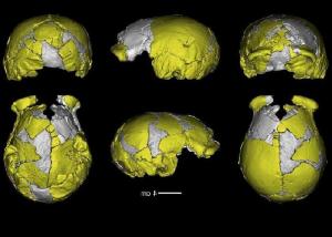 Reconstruyen cráneos de cultura que habitó Bolivia hace tres mil años