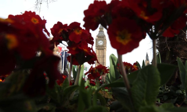 Flowers bloom on Parliament Square in London, Britain March 11, 2017. REUTERS/Neil Hall