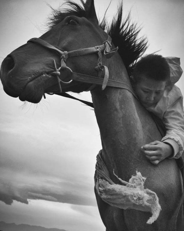 SEGUNDO LUGAR, NIÑOS "Esta es la tribu Tours Hu, un condado autónomo mongol en la provincia más remota de Xinjiang, ciudad natal de Donggui. El festival de Namuda es espectacular, especialmente las carreras de caballos. Cuando el niño ganó se sentía tan real como convertirse en un rey. Los ancianos, incluido su abuelo, llevarán a su caballo alrededor de la audiencia para celebrar el momento.".