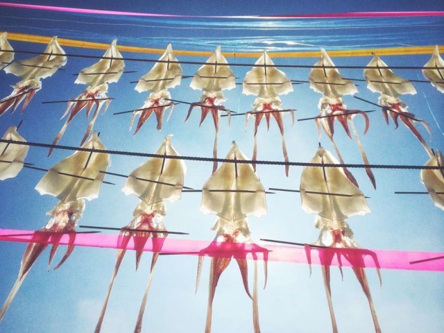 SEGUNDO LUGAR, COMIDA "Esta foto fue tomada en Japón en agosto de 2015, en la isla de Kyushu, en el condado de Saga, en un pequeño pueblo llamado 'Yobuko'. Este pueblo es famoso por el calamar. Los lugareños colgar el calamar fresco cerca de la playa para secar en el viento del mar. Cuando se camina por la orilla del mar, a menudo se puede ver el "calamar volador", una vista muy interesante"